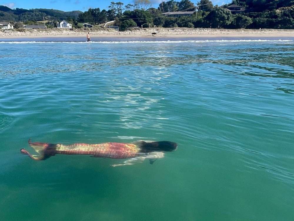 Mermaid Image 7