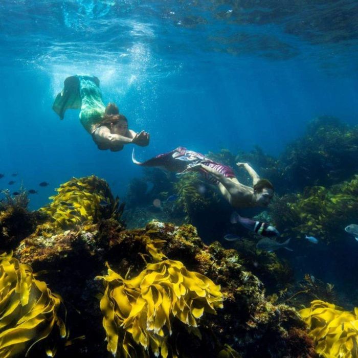 MSD002 – Pod of four mer-people sighted interacting with filmmakers and photographers at Poor Knight Islands