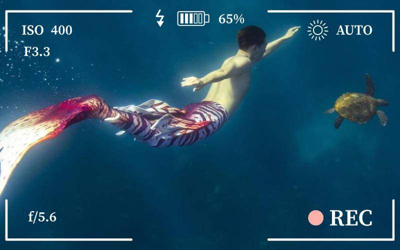 MM - Mermaids sighted in Taupo, New Zealand