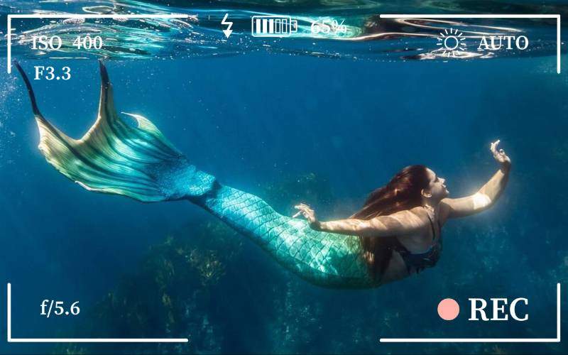 MM - Mermaids sighted in poor knights islands, New Zealand (1)