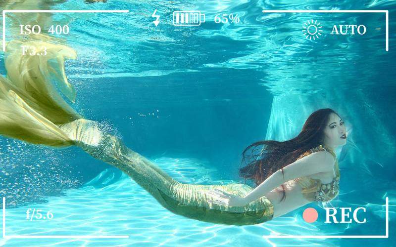 MM - Mermaids sighted at Erin point pools, Auckland, New Zealand (1)