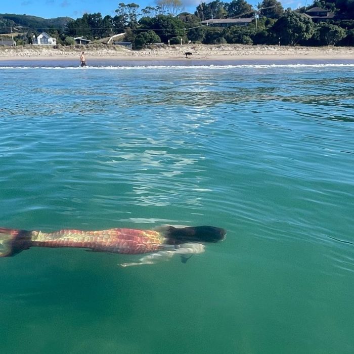 MSD006 – Unusual Coastal Observation of Mermaid-1006 (Mermaid Lily)