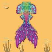 Aurora-reef performance mermaid tail
