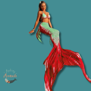 Adult Mermaid Tail set with Side Fins