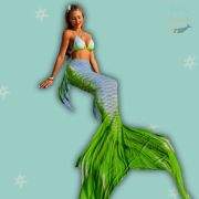 Adult Mermaid Tail set with Side Fins