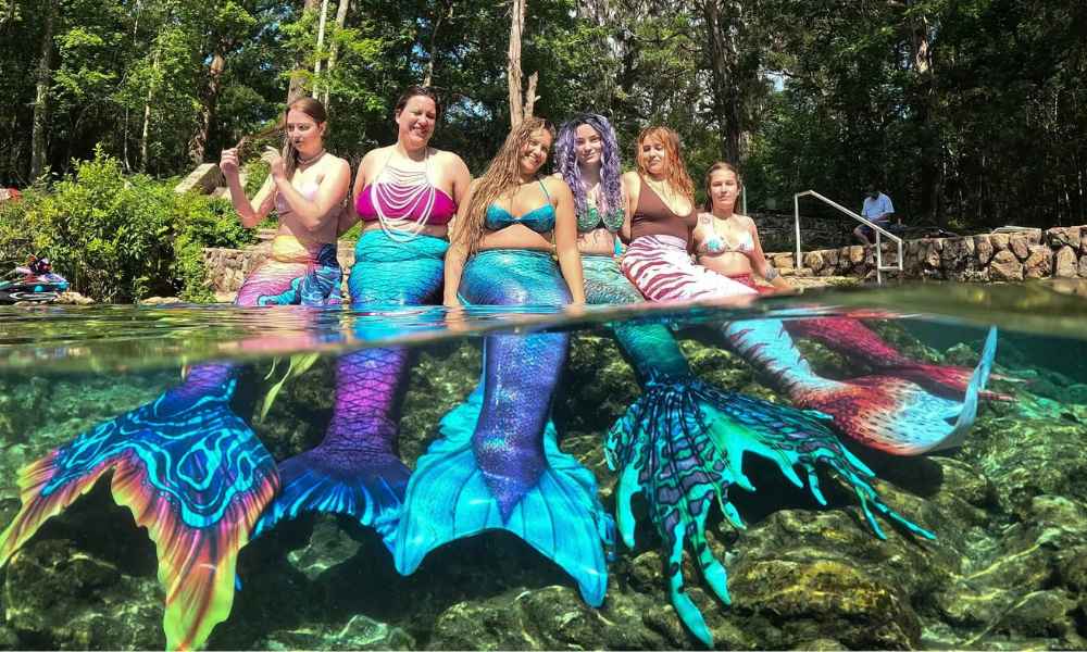 Mermaid meetups with making mermaids - New Zealand (1)