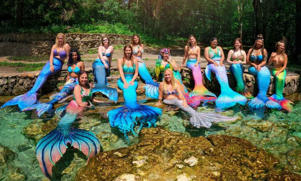 Mermaid meetups with making mermaids - New Zealand (3)